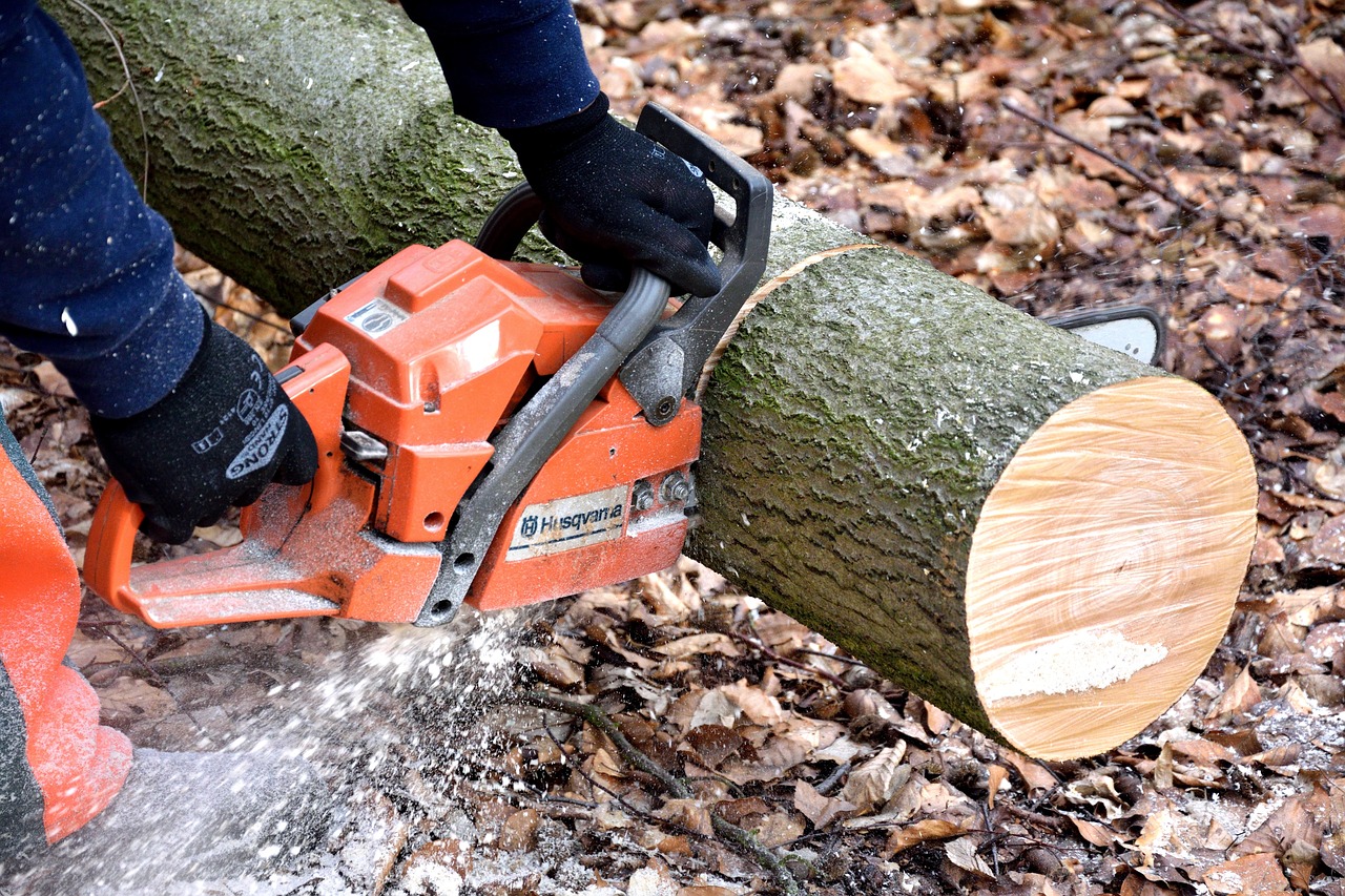 cutting wood, lumberjack, chainsaw